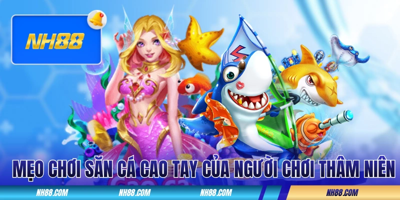 Vài mẹo chơi săn cá cao tay của người chơi thâm niên