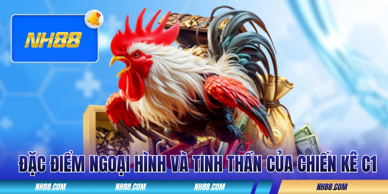 Đặc điểm về ngoại hình và tinh thần của chiến kê C1
