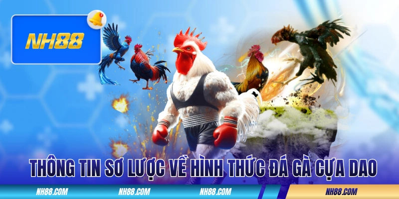 Thông tin sơ lược về loại hình đá gà cựa dao cực cháy