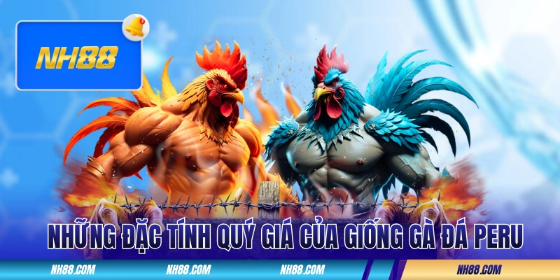 Những đặc tính quý giá của giống gà đá Peru