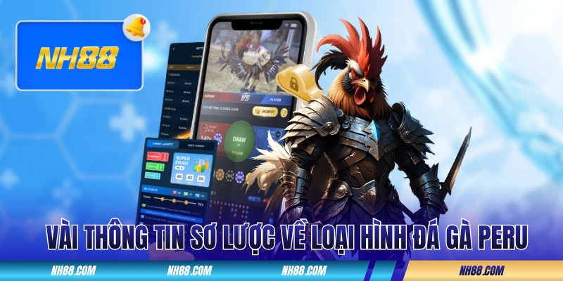Vài thông tin sơ lược về loại hình đá gà Peru