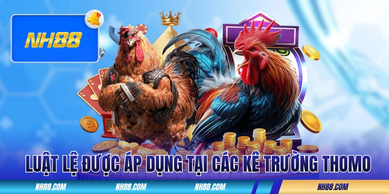 Luật lệ chuyên nghiệp được áp dụng tại các kê trường Thomo