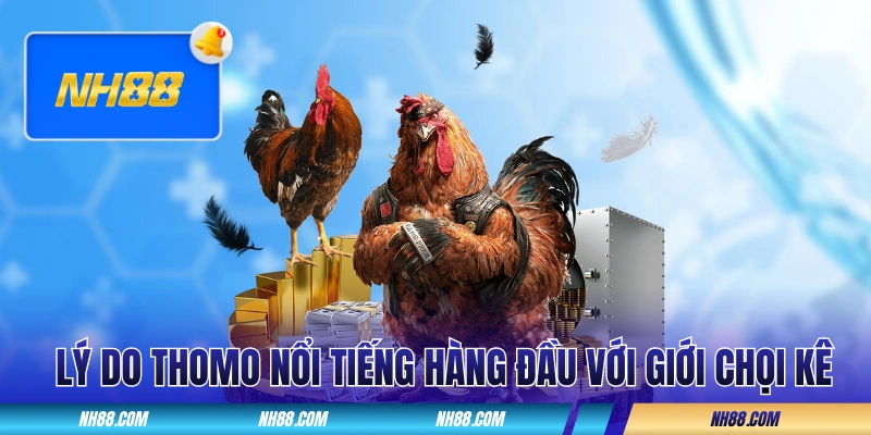 Lý do Thomo nổi tiếng hàng đầu với giới chọi kê