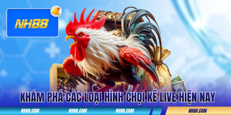 Khám phá các loại hình chọi kê live hiện nay