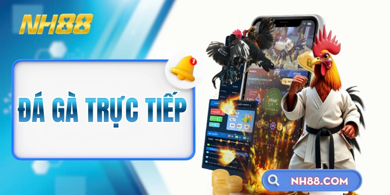 Đá Gà Trực Tiếp - Cảm Nhận Không Khí Kê Trường Ngay Tại Nhà
