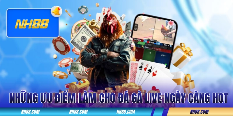 Những ưu điểm làm cho đá gà live ngày càng hot